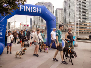 Petwell Lightweight Inflatable Arch for the 2025 Walk for Petwellness