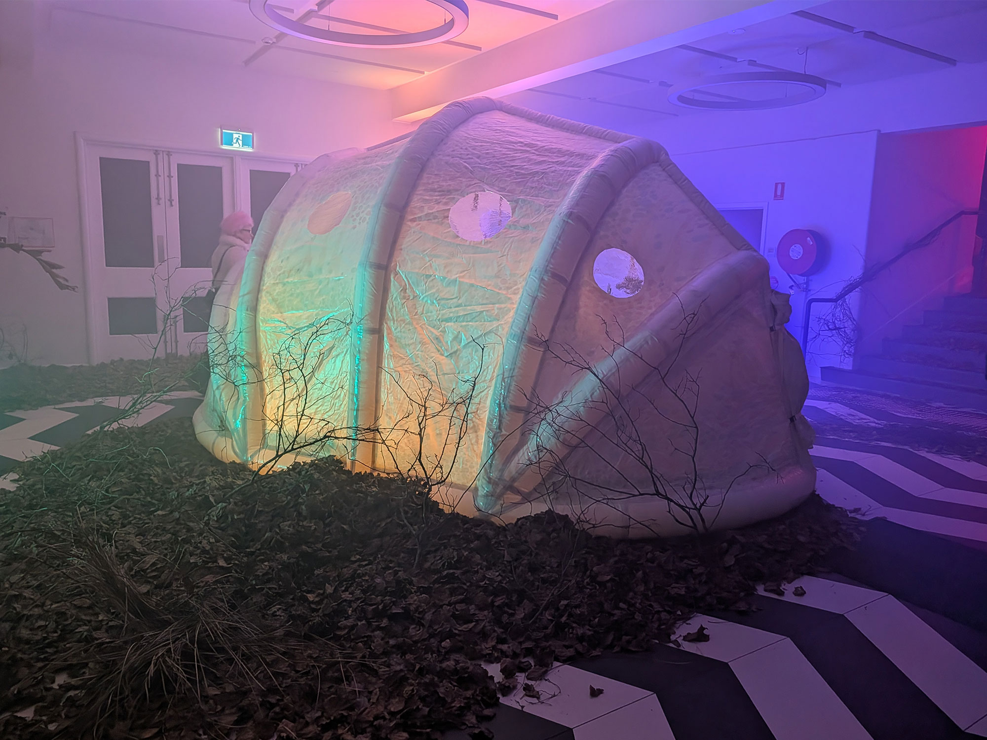 Cathy - The Carapace